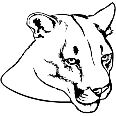 Cougar